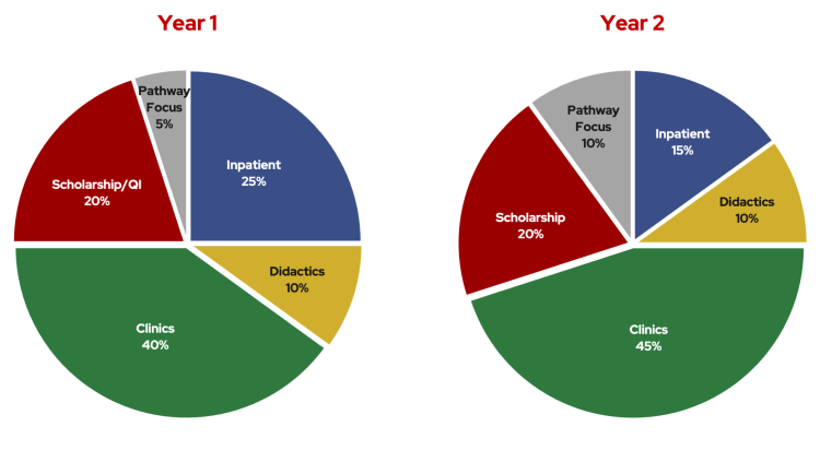 Two pie charts showing how years 1 and 2 of the Endocrinology fellowship are broken up