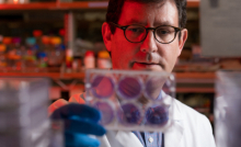 Dr. Vince Cryns in the lab