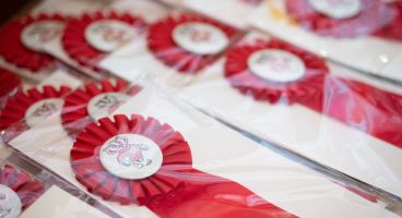 Ribbons