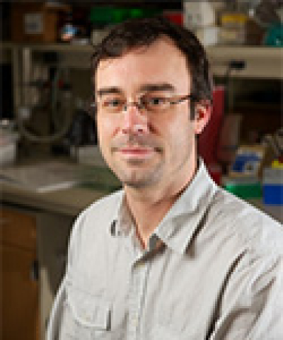 photo of Paul Fichtinger
