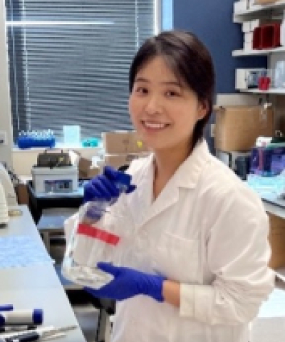 Jingjing Zhen, PhD
