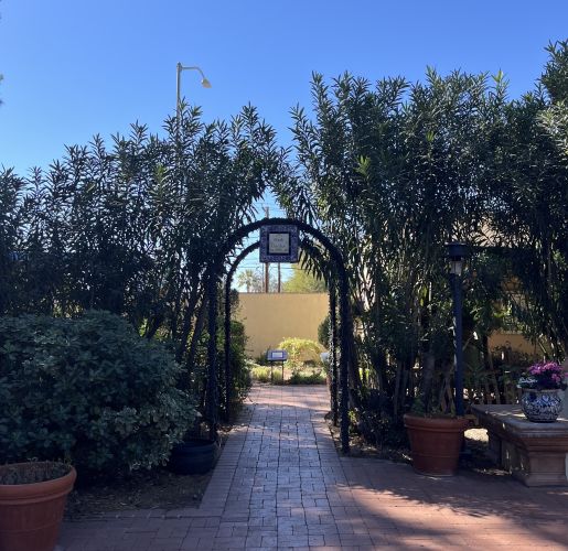A paved path under a garden arch at dusk.