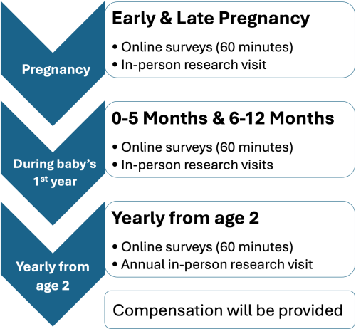 Graphic of ECHO study timeline.
