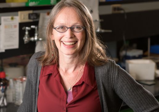 Dr. Rozalyn Anderson