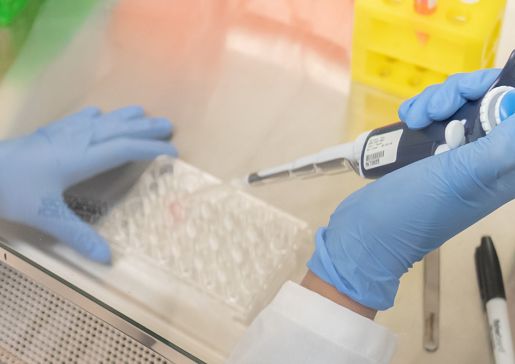 Research in a Department of Medicine laboratory