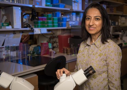 Dr. Nasia Safdar in her laboratory