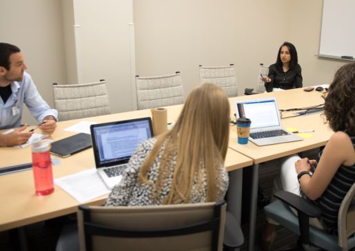 Shapiro summer medical research program