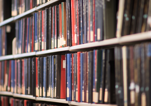 Books on a bookshelf.