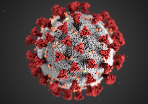 Coronavirus image