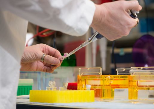 science research - cardiac arrhythmias