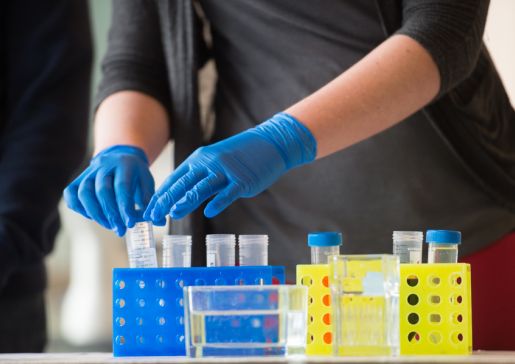 pilot award funding for translational research