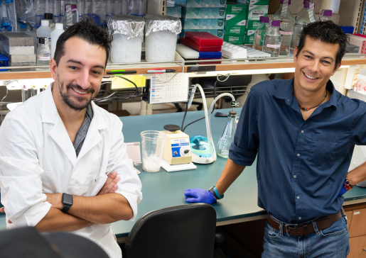 Left to right: Matias Fabregat, PhD, MSc, in the lab with his mentor, Andrea Galmozzi, PhD. Credit: Clint Thayer/Department of Medicine.