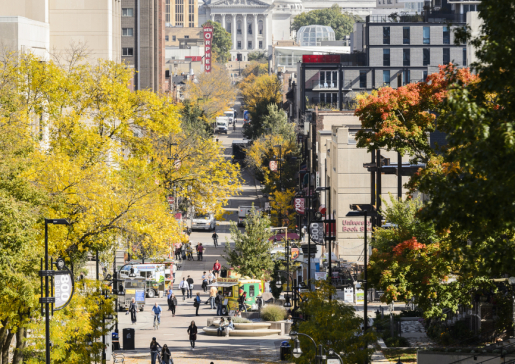 View from Bascom Hill down the campus mall and State Street, to the Capitol.