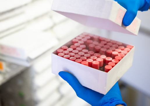 closeup photo of Dr. Hilary Faust holding a box of vials