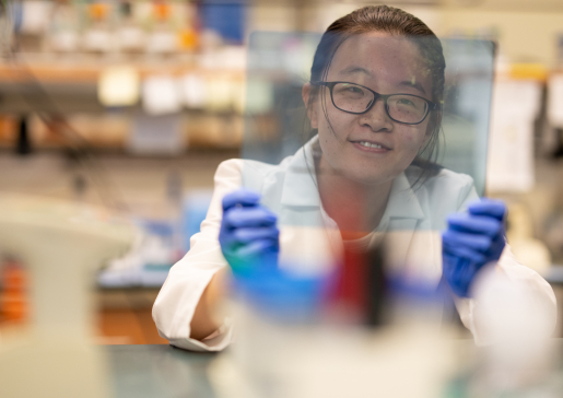 Zhouyuan Shen, a research assistant in Dr. Mark Burkard's lab, looks through a gel at the lab bench