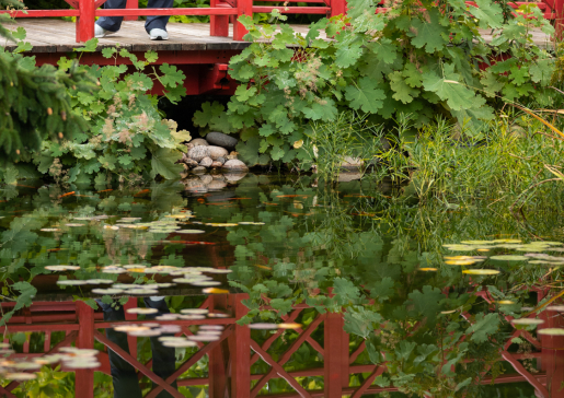 A Department of Medicine learner at a wellness retreat hosted by the department. She looks down from a red bridge into a stream.