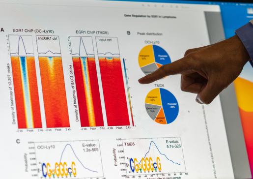 photo of Dr. Lixin Rui's hand pointing at heatmap charts on a computer screen 