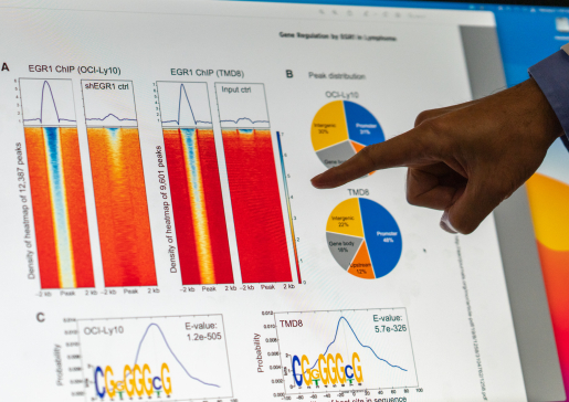photo of Dr. Lixin Rui's hand pointing at heatmap charts on a computer screen