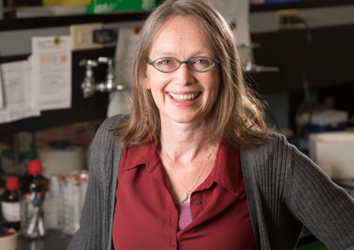 Dr. Rozalyn Anderson in her lab.