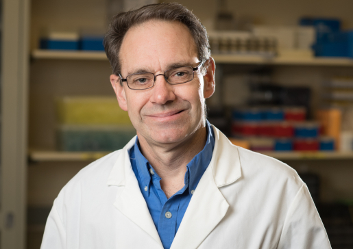 Craig Atwood, PhD, professor, Geriatrics and Gerontology, in his lab.