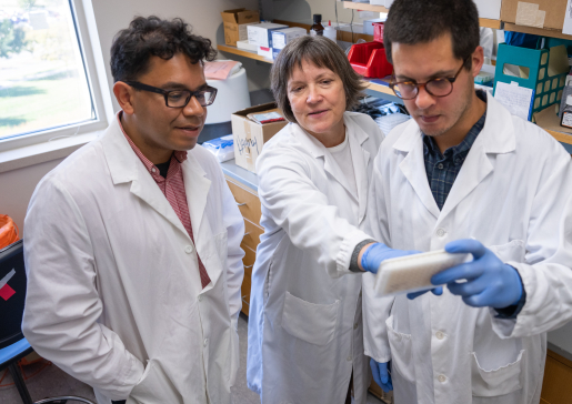 Inside the Caldera/Hayney lab