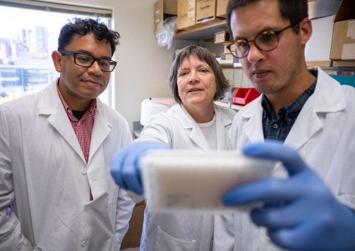 Photo of Dr. Freddy Caldera in the lab with associates.