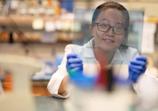 Zhouyuan Shen, a research assistant in Dr. Mark Burkard's lab, looks through a gel at the lab bench
