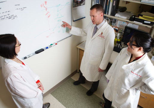 photo of Dr. Nathan Sandbo meeting with lab staff