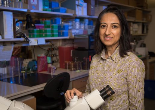 Nasia Safdar, MD, PhD, in her lab